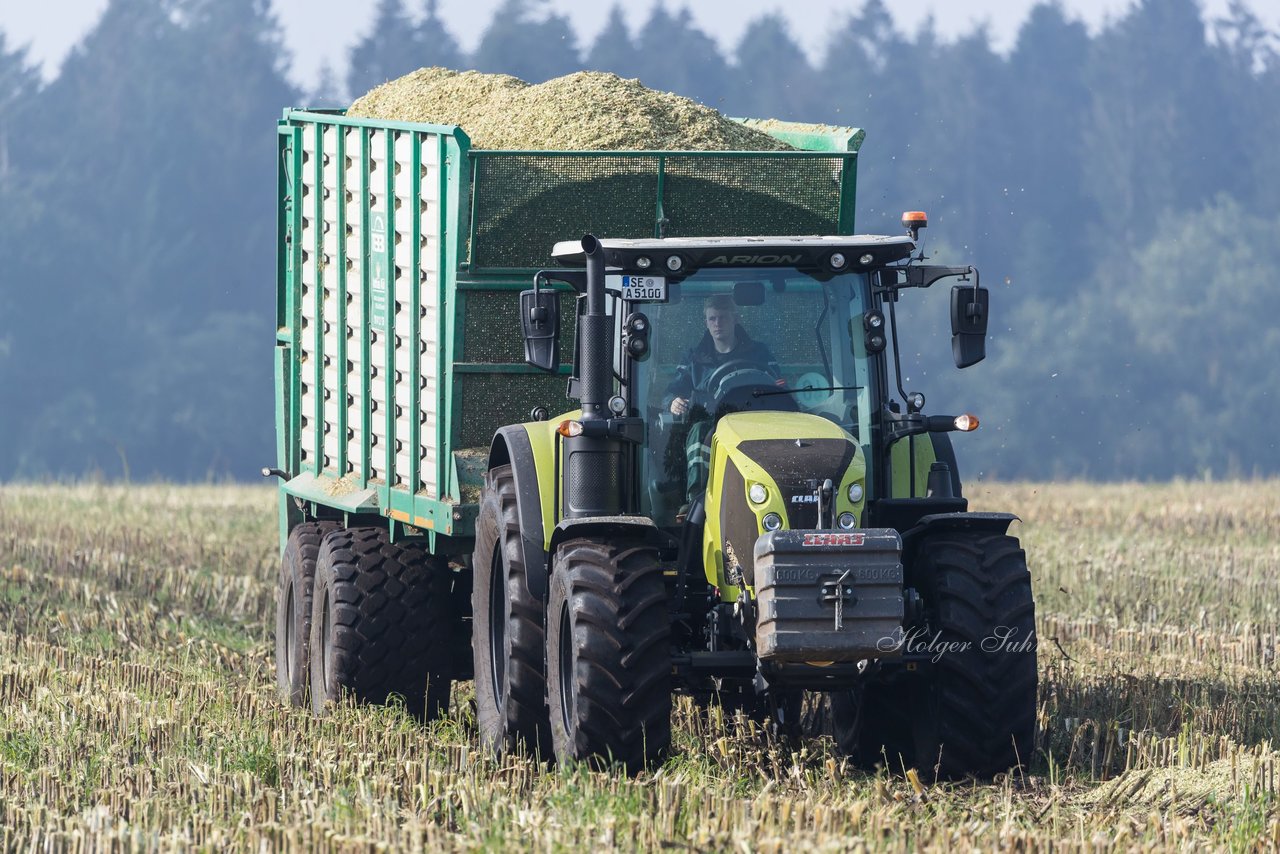 Bild 138 - Maisernte